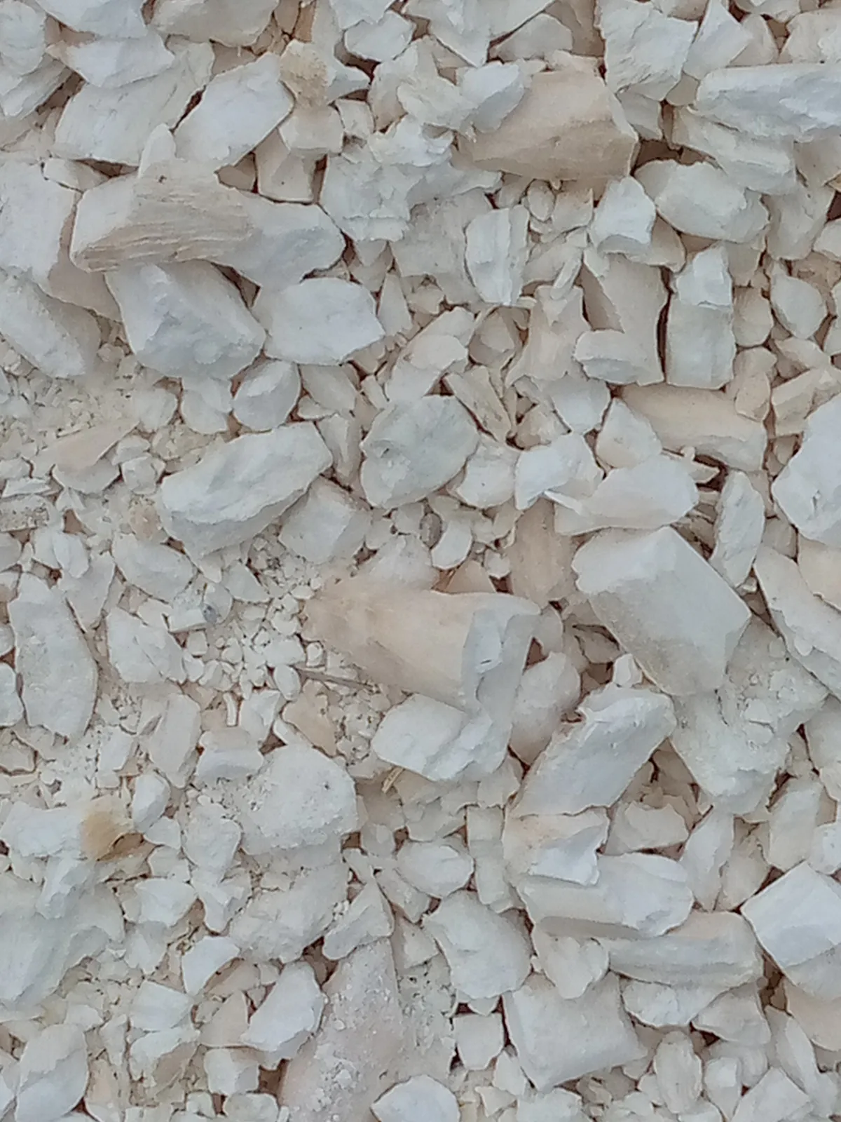 Dried Cassava