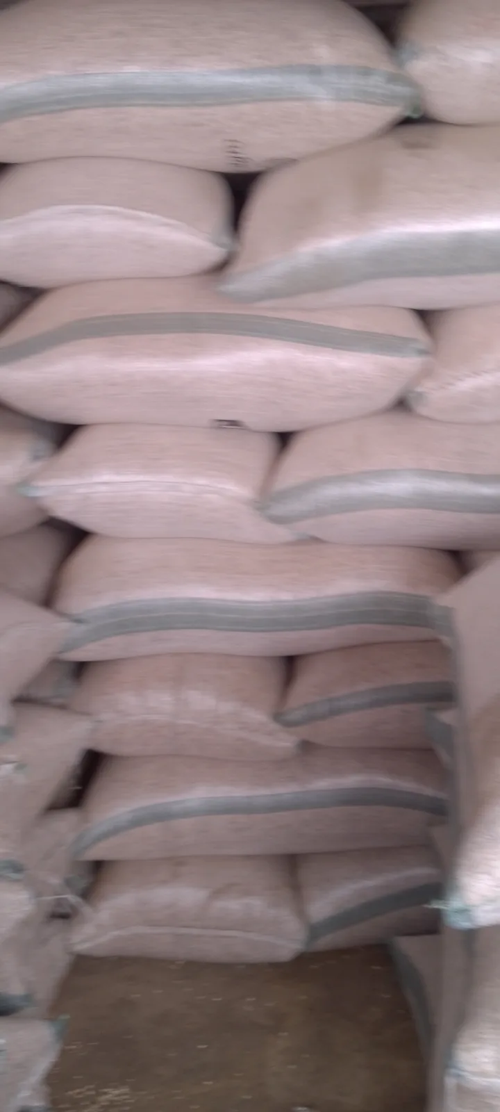 Premium White Beans Dawanau Mrkt Kano 