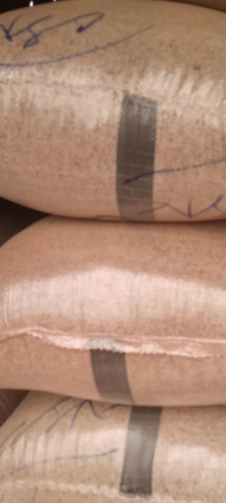 Sesame -Dawanau market Kano