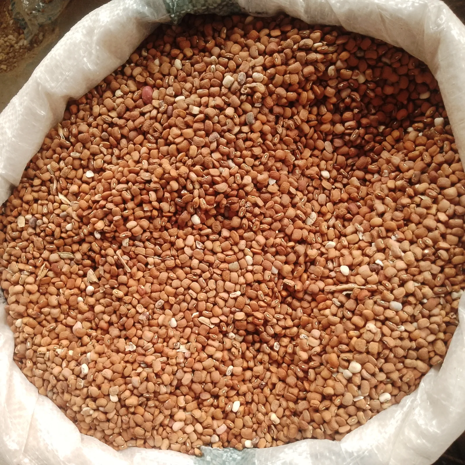 Red Beans Dawanu Market