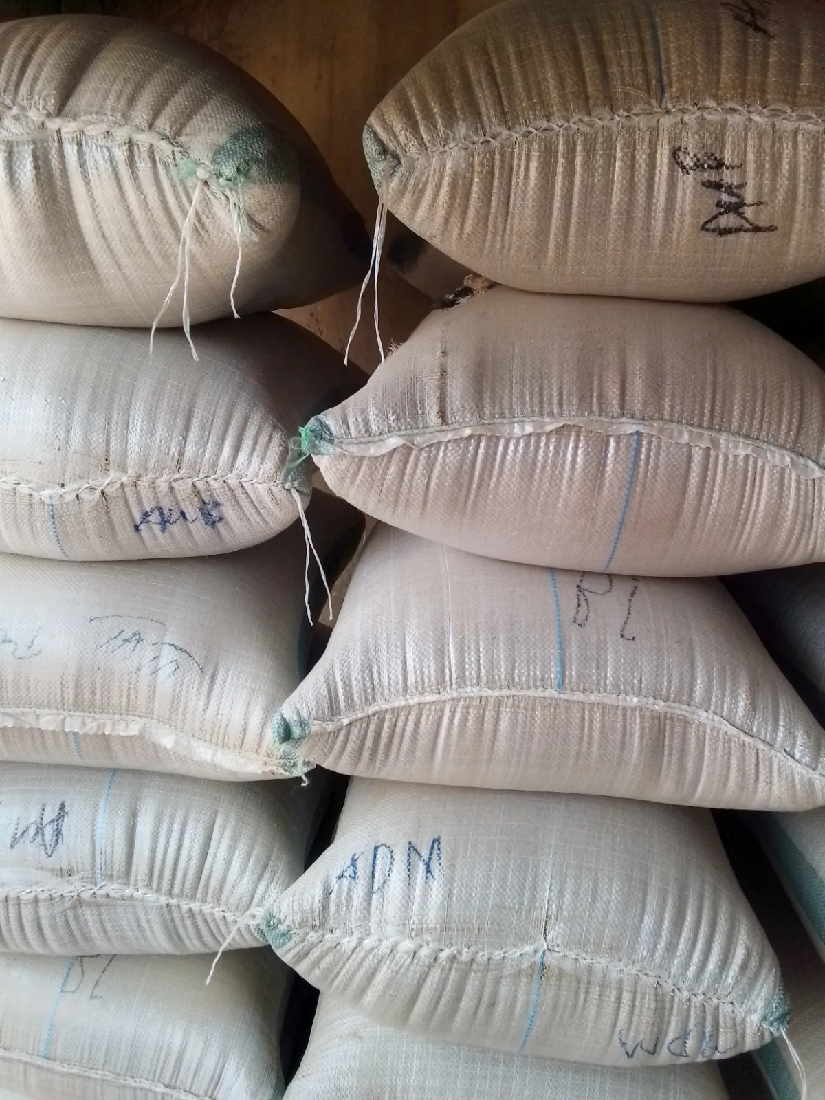 Fresh White Nside Dawanau Mrkt Kano