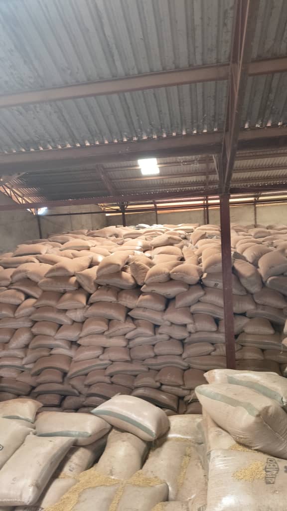 Premium Soyabeans, Dawanau Kano